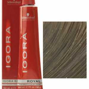Боя за коса "Игор": ревюта на фризьорски салони, композиция, палитра и характеристики