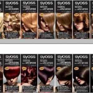 Бои за коса Syoss: палитра от цветове, снимка