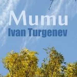 Резюме на IS "Муму" Тургенев