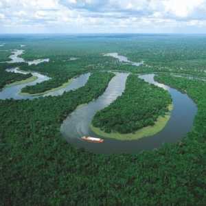 Най-големите реки в Южна Америка