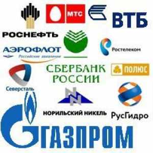 Големи предприятия от Русия. Индустриални предприятия на Русия