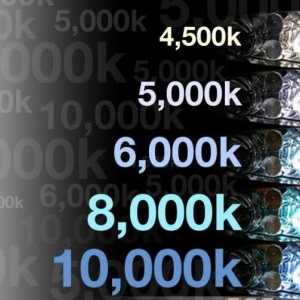 Xenon 6000K: отзиви