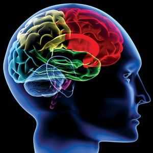 CT на мозъка: индикации и противопоказания