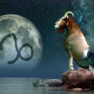 Кой е роден на 20 януари: знак на зодиака Водолей или Козирог?