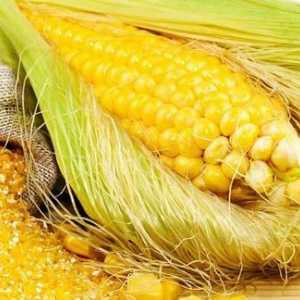 Царевични зърнени храни: полезни свойства, рецепти за готвене