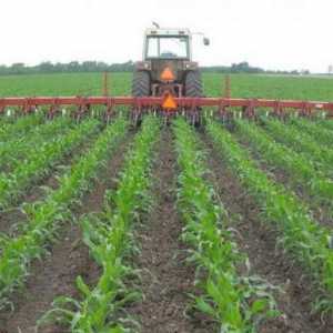 Култивирането е основният начин за отглеждане на почвата в селското стопанство