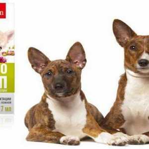 "Lakto-Stop" за кучета: указания, инструкции за употреба, рецензии