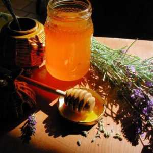 Мед от лавандула: полезни свойства и противопоказания