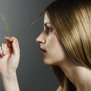 Лечение на разделените краища на косата у дома: рецепти от народната медицина