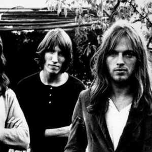 Легендарната британска рок група "Пинк Флойд": история и разпадане