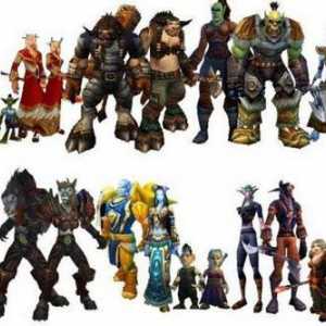 Легендарната игра WarCraft. Характеристики, възможности, състезания `Warcraft `