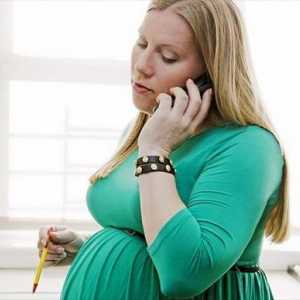 Лесна работа за бременна жена. Член 254 от КТ. Член 93 от ЗК RF. Частично