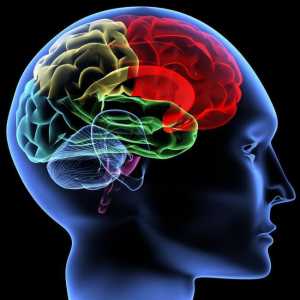 Левкоареозата на мозъка: симптоми, причини, лечение