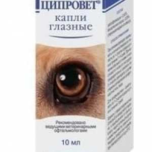 Лекарството "Ципроверт" - капки за очи за котки и кучета