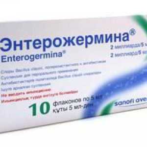 Лекарства "Entererozhermin": инструкции за употреба, прегледи