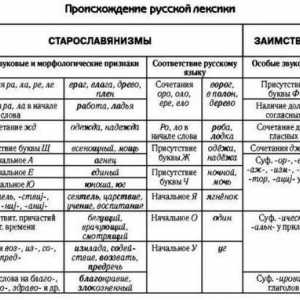 Речник от гледна точка на произхода. Лексикална система на съвременния руски език. Нови думи
