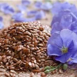 Лен, семена: рецензии, приложение в народната медицина, рецепти