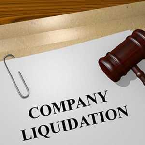 Ликвидация на LLC чрез продажба: стъпка по стъпка инструкция
