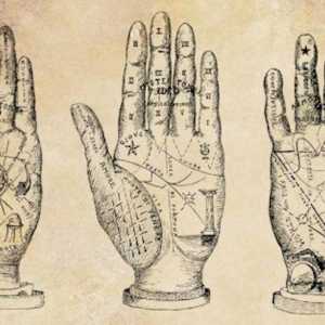 Линии върху ръката: видове и значение. Хармония за начинаещи