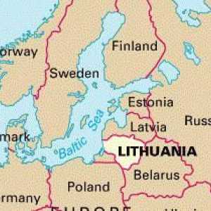 Литовска виза. Литовската виза в Санкт Петербург. Приемане на литовската виза