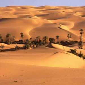 Либийска пустиня: описание, функции, снимка