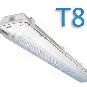Флуоресцентна лампа T8 и LED лампи T8: характеристики, размери, връзка. Лампи за аквариум T8