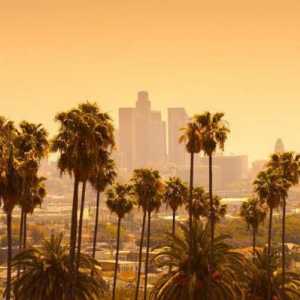 Лос Анджелис: населението. Брой, расов и етнически състав, имигранти