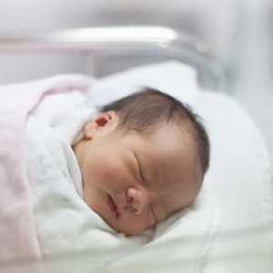 Най-добрата смес за преждевременно бебе: преглед, функции, видове и отзиви