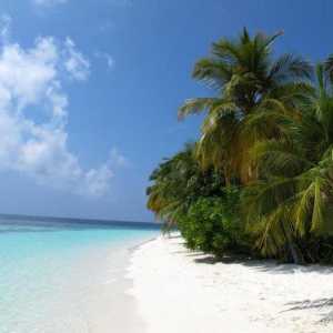 Най-добрите плажове на Малдивите: описание и отзиви