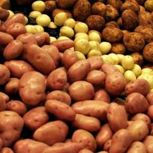 Най-добрите сортове картофи за отглеждане. Ранни сортове картофи. Сортове от най-вкусните картофи