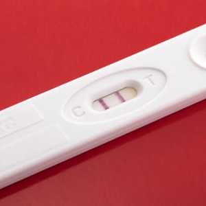 Най-добри тестове за ранна бременност: заглавия