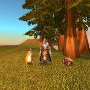 Поляна куче и други бойни домашни любимци World of Warcraft