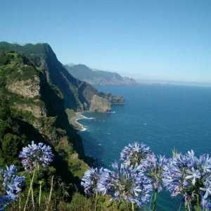 Мадейра. Прегледи на туристи за този разцъфтяващ остров