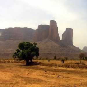 Мали (страна). Държава в Западна Африка