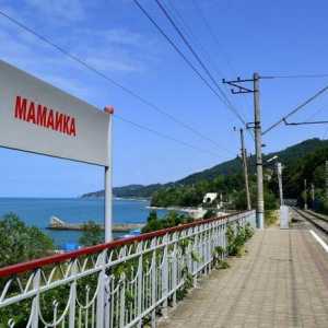 Mamaika, Сочи: отзиви, отзиви, почивка, плажове, хотели