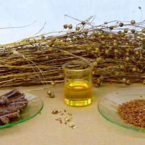 Ленено масло: полезни свойства, употреба и противопоказания