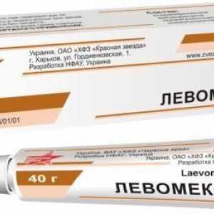 Маз "Levomekol": за какво се използва наркотикът?