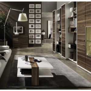 Мебелна стена за дневната: създайте стая дизайн