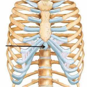 Продължителният процес на гръдната кост се увеличи - как да бъдем?