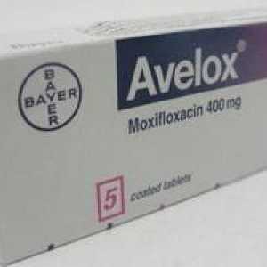 Медикамент "Авелокс". Инструкции за употреба