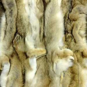 Fur фабрика в Русия. Производство на кожени изделия