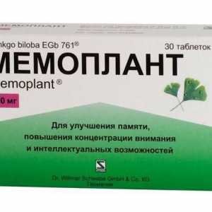 "Memoplant": отзиви. "Memoplant": цена, описание, инструкция