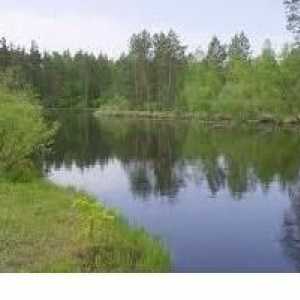 Meshcherskoe езеро - какво очаква резервоарът в бъдеще?