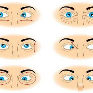 Метод 20-20-20 и други начини за защита на очите от ефектите на компютъра