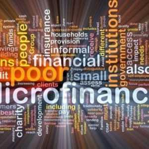 Организации за микрофинансиране: списък. Организацията за микрофинансиране е ...