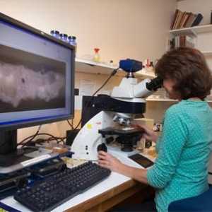 Микроскопски изследователски методи в микробиологията