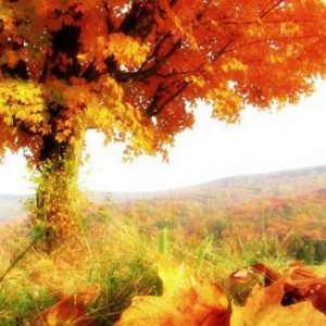 Мини-композиция за есента за ученици