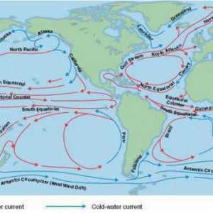 Океани: изследване на океанските течения