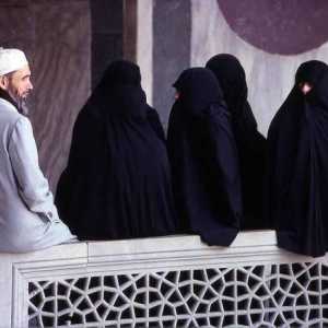 Полигамията в исляма: условия, правила. Защо полигамията е разрешена в исляма?