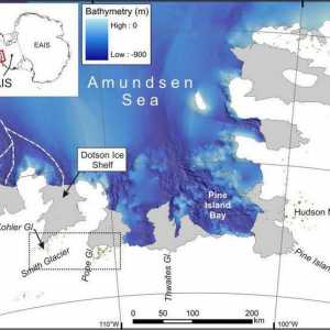 Амундсенско море: геология, климат, фауна